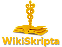 WikiSkripta